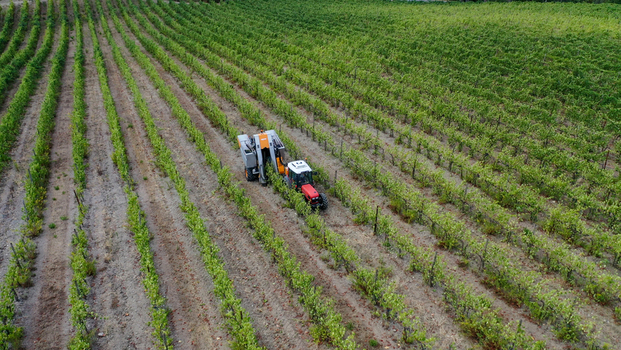 Aerial view of a grape harvester machine working between lush green vine rows in a vineyard in Greve in Chianti Tuscany Italy. Aerial view of a grape harvester machine working between lush green vine rows in a vineyard in Greve in Chianti Tuscany Italy.