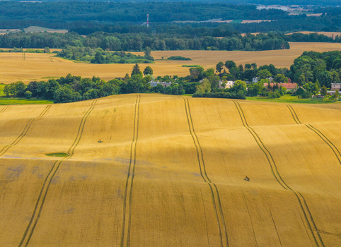 Aerial view of rolling golden wheat fields in the Kashubia region with visible tire tracks lush green trees and a small village in Tczew Pomeranian Voivodeship Poland. Aerial view of rolling golden wheat fields in the Kashubia region with visible tire tracks lush green trees and a small village in Tczew Pomeranian Voivodeship Poland.