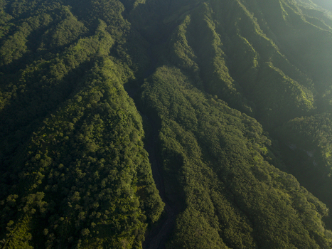 Aerial view of the lush green slopes and deep ravines near Bunker Kaliadem Merapi under soft morning light in Kecamatan Pakem Daerah Istimewa Yogya Indonesia. Aerial view of the lush green slopes and deep ravines near Bunker Kaliadem Merapi under soft morning light in Kecamatan Pakem Daerah Istimewa Yogya Indonesia.