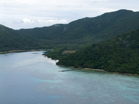 Aerial view of lush green mountains meeting the turquoise sea a pier extending into the calm waters at Turtle Conservation Karimunjawa Central Java Indonesia.