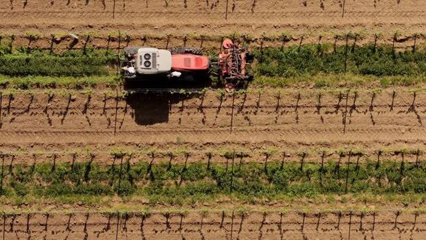 Aerial view of a tractor working in a vineyard Czechia.