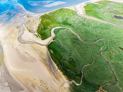 Aerial view of Baie de Somme with its winding tidal channels lush green salt marshes and expansive sandy beaches in Saint Valery sur Somme Hauts de France France. Aerial view of Baie de Somme with its winding tidal channels lush green salt marshes and expansive sandy beaches in Saint Valery sur Somme Hauts de France France.