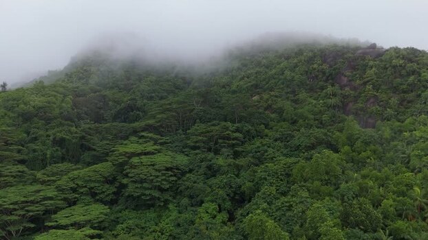 Aerial view of lush tropical forests on Mahe Seychelles.