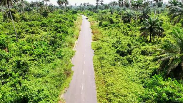 Aerial view of a road through dense tropical forest in Nigeria.