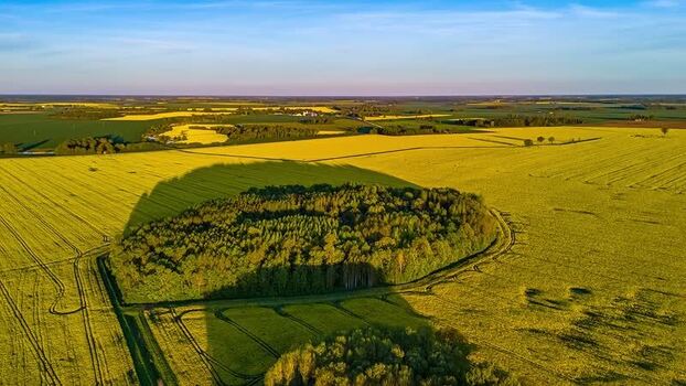 Aerial view of rapeseed fields and forest in Latvia. Aerial view of rapeseed fields and forest in Latvia.
