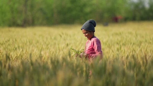 View of a woman smiling in a green field in Dang Nepal.
