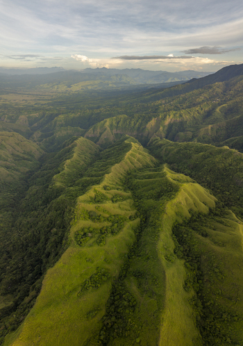 Aerial view of Avatar Hill Watu Nari Wowo featuring lush green ridges deep valleys and rolling hills under a soft sky in Bajawa East Nusa Tenggara Indonesia.