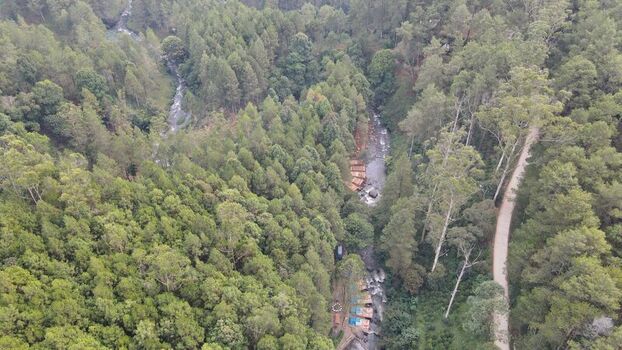 Aerial view of Hutan Pinus Rahong with a river flowing through a dense pine forest and a dirt path alongside in Pangalengan West Java Indonesia. Aerial view of Hutan Pinus Rahong with a river flowing through a dense pine forest and a dirt path alongside in Pangalengan West Java Indonesia.