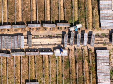 Aerial view of workers drying noodles on wooden racks in an outdoor field in Polanharjo Central Java Indonesia.