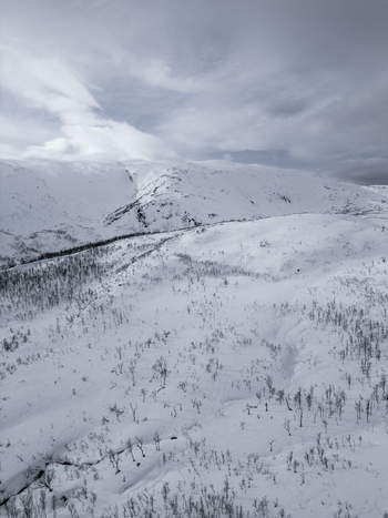 Aerial view of snowy mountain slopes with sparse trees under a cloudy sky Kvaloya Troms Norway. Aerial view of snowy mountain slopes with sparse trees under a cloudy sky Kvaloya Troms Norway.
