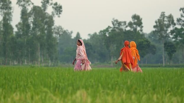 View of women walking through a green rice field in Bangladesh. View of women walking through a green rice field in Bangladesh.