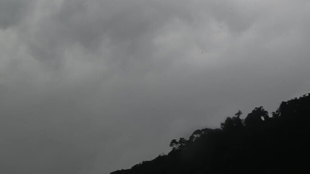 View of dark storm clouds over a silhouetted forest Brazil.