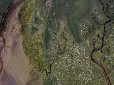 Aerial view of the intricate meandering tidal channels and salt marsh vegetation of Findhorn Bay Findhorn Scotland United Kingdom. Aerial view of the intricate meandering tidal channels and salt marsh vegetation of Findhorn Bay Findhorn Scotland United Kingdom.