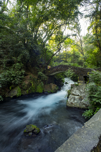 View of the stone bridge over the rushing Cupatitzio River in the lush Parque Nacional Barranca del Cupatitzio surrounded by dense forest and mossy rocks in Uruapan Michoacan Mexico. View of the stone bridge over the rushing Cupatitzio River in the lush Parque Nacional Barranca del Cupatitzio surrounded by dense forest and mossy rocks in Uruapan Michoacan Mexico.