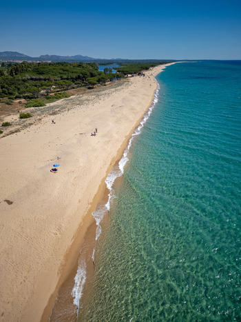 Aerial view of the sandy Spiaggia Osalla di Orosei with turquoise clear water lush pine forest and distant mountains under a clear blue sky in Orosei Sardegna Italy. Aerial view of the sandy Spiaggia Osalla di Orosei with turquoise clear water lush pine forest and distant mountains under a clear blue sky in Orosei Sardegna Italy.