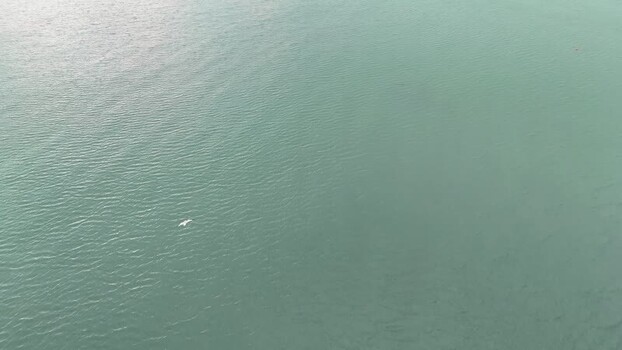 Aerial view of a seagull flying over the sea Ireland. Aerial view of a seagull flying over the sea Ireland.