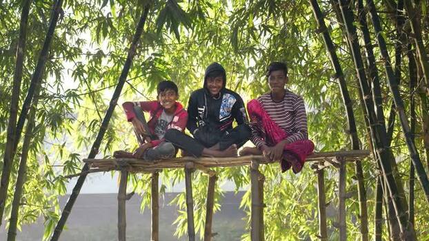 View of three boys sitting in a bamboo grove Bangladesh.