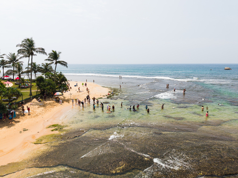 Aerial view of people swimming in the turquoise waters of a tropical beach lined with palm trees and golden sand Hikkaduwa Southern Province Sri Lanka. Aerial view of people swimming in the turquoise waters of a tropical beach lined with palm trees and golden sand Hikkaduwa Southern Province Sri Lanka.