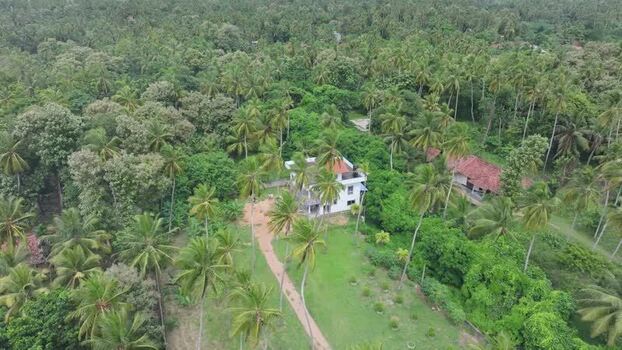 Aerial view of house in palm grove in Colombo Sri Lanka.