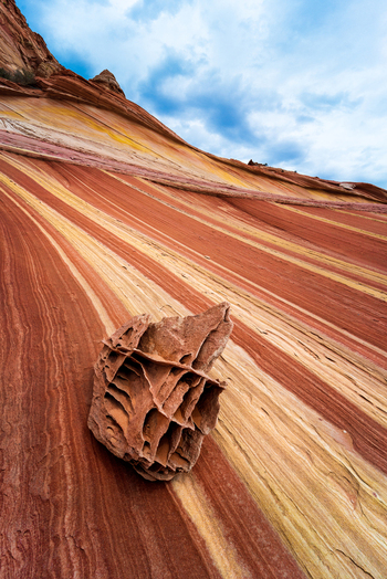 View of The Wave sandstone rock formation with undulating stripes and a textured rock in the foreground under a cloudy sky Arizona United States. View of The Wave sandstone rock formation with undulating stripes and a textured rock in the foreground under a cloudy sky Arizona United States.