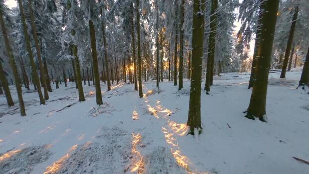 FPV aerial view of snowy forest in Glashutten Germany.