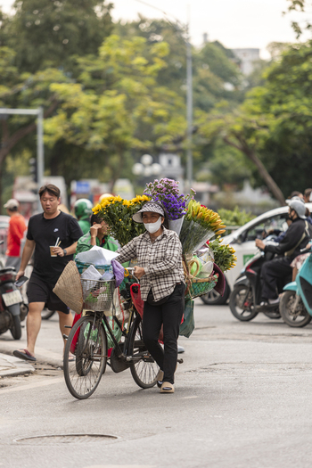Hanoi Ha Noi Vietnam 11 November 2025 View of a woman riding a bicycle laden with colorful flowers through a busy street in Hanoi with motorbikes and pedestrians in the background.