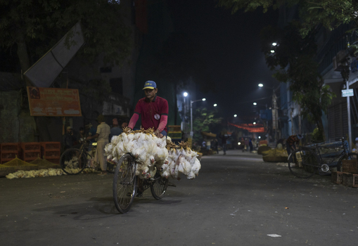 Kolkata India 06 December 2024 View of a man cycling down a deserted street at night his bicycle laden with what appears to be white flowers under the glow of streetlights. Kolkata India 06 December 2024 View of a man cycling down a deserted street at night his bicycle laden with what appears to be white flowers under the glow of streetlights.