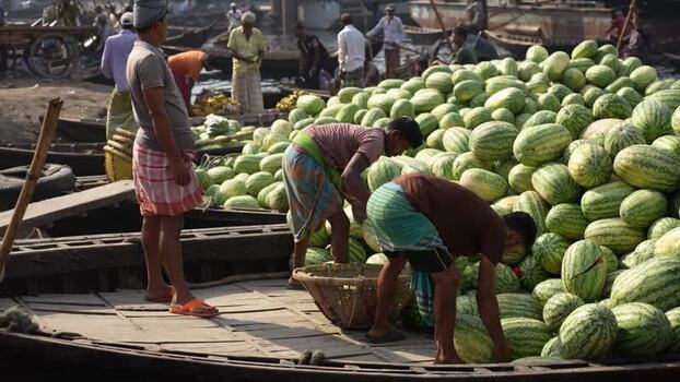 View of workers unloading watermelons at Sadarghat port Bangladesh.