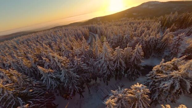 FPV aerial view of snow covered forest at sunset Germany.