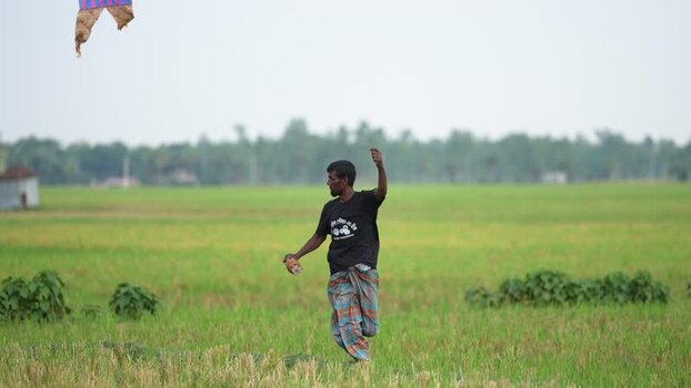 View of a man flying a kite in a green field Bangladesh. View of a man flying a kite in a green field Bangladesh.