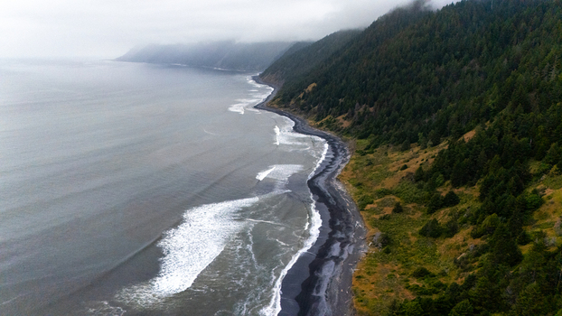 Aerial view of the rugged Lost Coast shoreline with dark sand beaches dense evergreen forests on steep hills and misty ocean waves Humboldt County California United States.