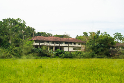 View of a traditional building with a tiled roof overlooking a vibrant green rice paddy field and tropical forest in Mirissa Southern Province Sri Lanka. View of a traditional building with a tiled roof overlooking a vibrant green rice paddy field and tropical forest in Mirissa Southern Province Sri Lanka.