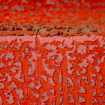 View of a close up of peeling vibrant orange paint reveals the textured layers beneath a study in decay and color contrast Dronten Flevoland Netherlands. View of a close up of peeling vibrant orange paint reveals the textured layers beneath a study in decay and color contrast Dronten Flevoland Netherlands.