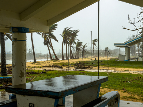 San Jose Tinian Northern Mariana Islands 06 July 2026 View of Super Typhoon Bavi causing strong winds with palm trees bending and debris scattered across the park area. San Jose Tinian Northern Mariana Islands 06 July 2026 View of Super Typhoon Bavi causing strong winds with palm trees bending and debris scattered across the park area.