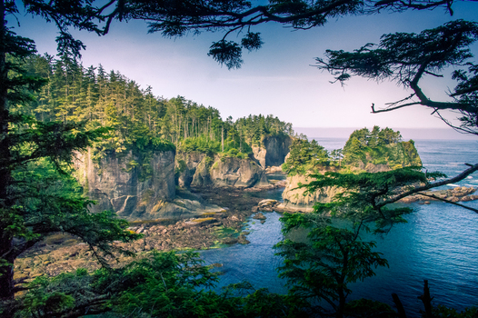 View of Olympic National Park featuring rugged sea stacks dense evergreen forests and a rocky coastline along the Pacific Ocean in Port Angeles Washington United States.