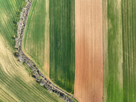 Aerial view of vibrant agricultural fields with geometric patterns of green crops and brown soil under bright daylight in Rivalta di Torino Piedmont Italy. Aerial view of vibrant agricultural fields with geometric patterns of green crops and brown soil under bright daylight in Rivalta di Torino Piedmont Italy.