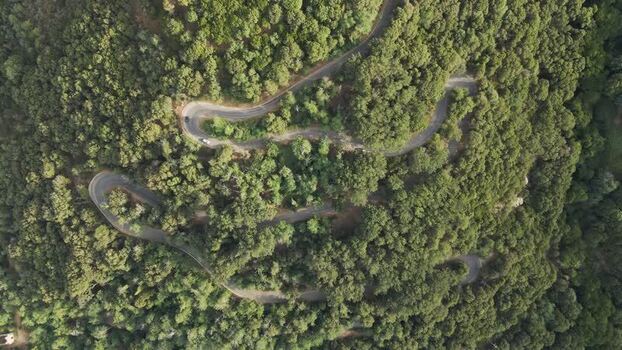 Aerial View of a road in the forest Marciana Elba Island Italy.