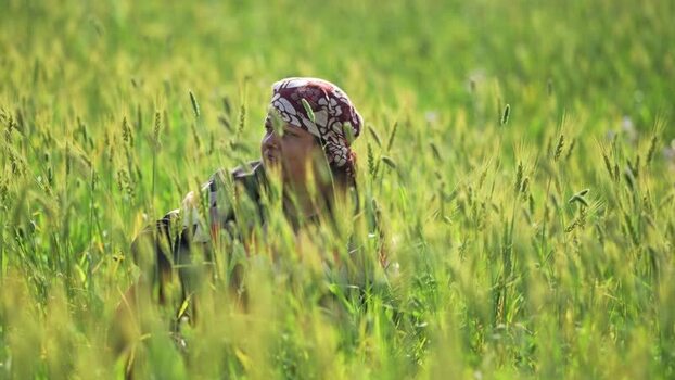 View of a woman in a green field in Dang Nepal.