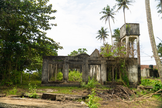 View of an abandoned concrete building overgrown with lush tropical vegetation and tall palm trees in Sri Lanka. View of an abandoned concrete building overgrown with lush tropical vegetation and tall palm trees in Sri Lanka.