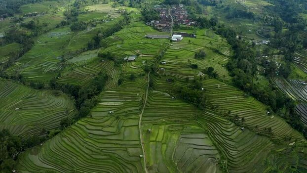 Aerial view of Jatiluwih rice terraces Indonesia.