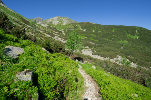 View of Razcestie pod Hrubou Kopou in Western Tatras with a rocky hiking trail winding through lush green slopes and mountain peaks in Ziar Zilina Region Slovakia. View of Razcestie pod Hrubou Kopou in Western Tatras with a rocky hiking trail winding through lush green slopes and mountain peaks in Ziar Zilina Region Slovakia.