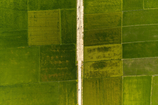 Aerial view of the lush green rice fields surrounding Lak Lake with a narrow concrete road cutting through the landscape in Lien Son Lak Dak Lak Vietnam. Aerial view of the lush green rice fields surrounding Lak Lake with a narrow concrete road cutting through the landscape in Lien Son Lak Dak Lak Vietnam.