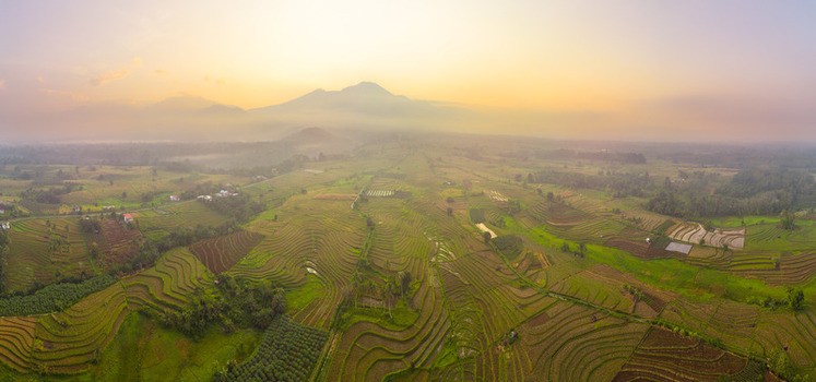 Aerial view of Kemumu terraced rice fields surrounded by lush green landscape and misty mountains under golden hour light in Arma Jaya Bengkulu Indonesia. Aerial view of Kemumu terraced rice fields surrounded by lush green landscape and misty mountains under golden hour light in Arma Jaya Bengkulu Indonesia.