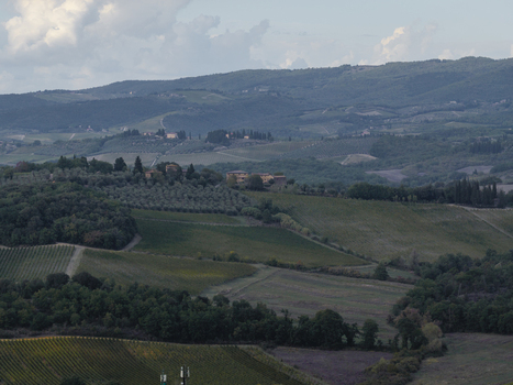 Aerial view of the rolling hills of Tuscany featuring vineyards olive groves and scattered stone farmhouses under a cloudy sky near Monteriggioni Tuscany Italy.