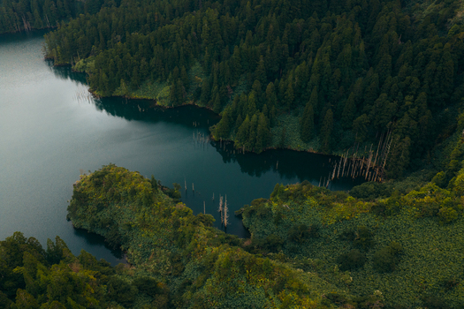Aerial view of Caldeira Funda lake surrounded by dense evergreen forest and lush green hills in Lajes das Flores Azores Portugal. Aerial view of Caldeira Funda lake surrounded by dense evergreen forest and lush green hills in Lajes das Flores Azores Portugal.