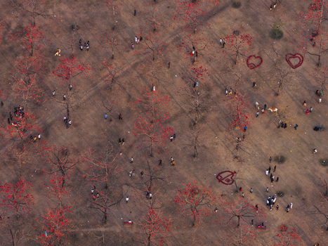 Aerial view of Shimul Bagan with red silk cotton flowers people walking through the dry forest and heart shaped patterns on the ground in Sunamganj District Sylhet Division Bangladesh. Aerial view of Shimul Bagan with red silk cotton flowers people walking through the dry forest and heart shaped patterns on the ground in Sunamganj District Sylhet Division Bangladesh.