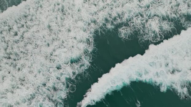Aerial view of surfers riding waves at La Jolla Cove United States.