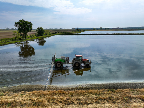 Aerial view of a tractor working in flooded rice fields with sky reflections on the water surface Trino Piedmont Italy.
