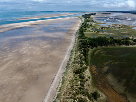 Aerial view of the Moray Firth Coast featuring expansive tidal sand flats coastal dunes and lush green vegetation near Nairn Scotland United Kingdom.
