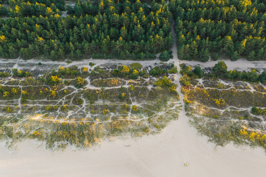 Aerial view of the sandy dunes and pine forest bordering the Baltic Sea in Gdansk Pomeranian Voivodeship Poland.